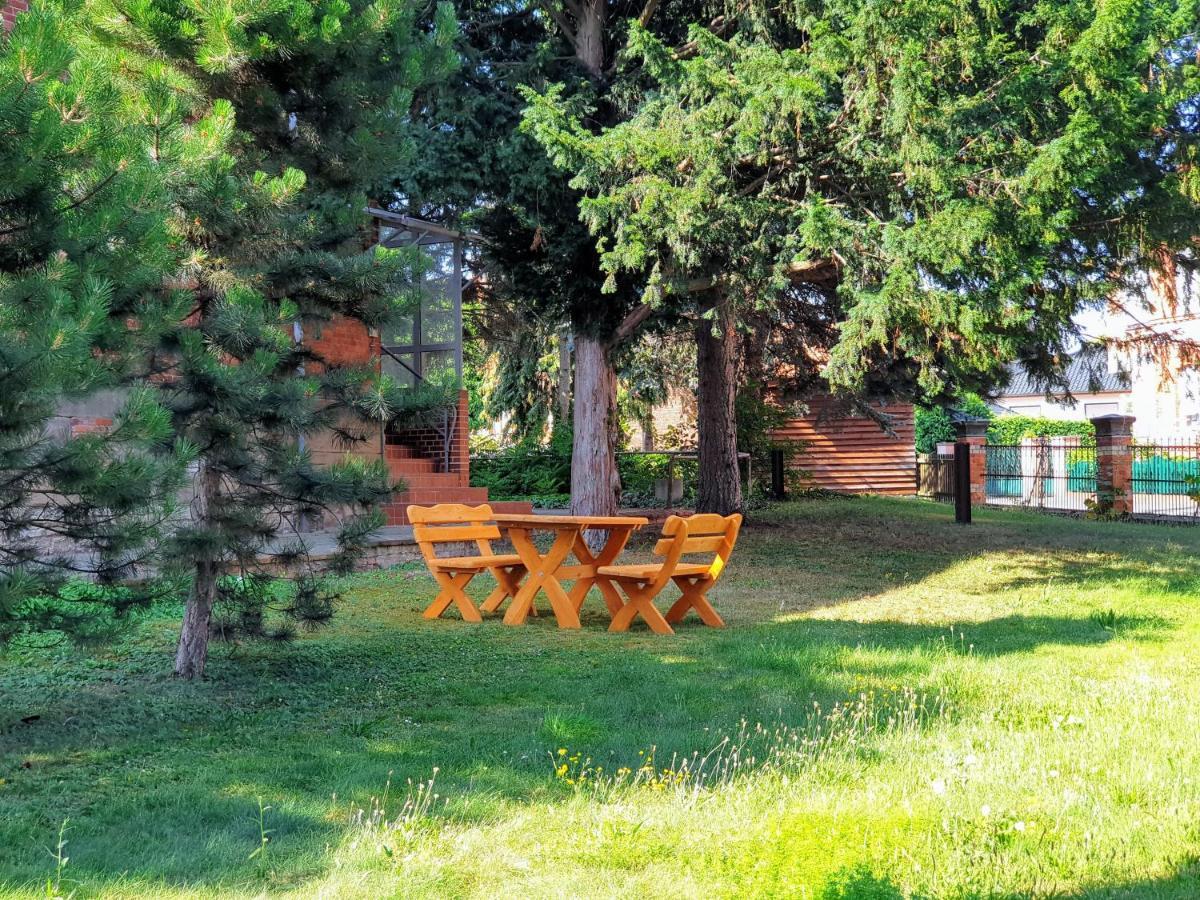 Villa Bianca Am Huy Dingelstedt Dış mekan fotoğraf